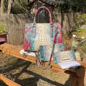 Brahmin Small Finley, Addie and Daisy in Komodo